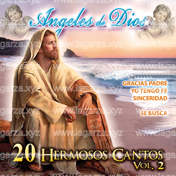 20 Hermosos Cantos Vol. 2: Ángeles de Dios